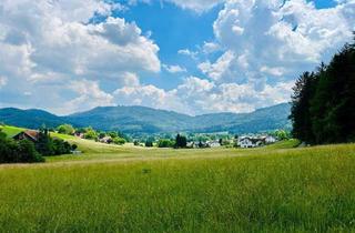 Grundstück zu kaufen in 4861 Schörfling, Baugrundstück nähe Attersee NEUER KAUFPREIS