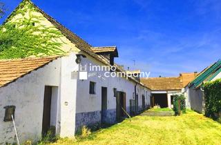 Haus kaufen in 7091 Breitenbrunn am Neusiedler See, Burgenländischer Streckhof im Original -am Neusiedlersee