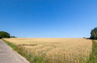 Grundstück zu kaufen in 4880 Walsberg, Landwirtschaftliche Fläche - Acker