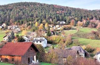 Haus kaufen in Hauptstraße, 2761 Waidmannsfeld, [06302] FERNBLICK UND RUHE GESUCHT??