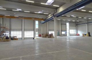 Gewerbeimmobilie mieten in 6112 Wattens, Zwei neue bzw. neuwertige Gewerbehallen gelangen im Gewerbegebiet von Wattens zur Vermietung - auch einzeln anmietbar