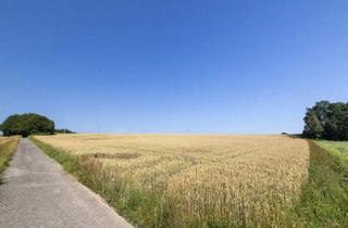 Gewerbeimmobilie kaufen in 4880 Sankt Georgen im Attergau, Landwirtschaftliche Fläche - Acker