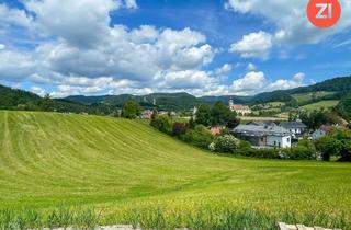 Grundstück zu kaufen in Marktblick, 4391 Waldhausen im Strudengau, Sonniges Baugrundstück "Marktblick" in Waldhausen im Strudengau Grst. 16