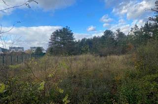Grundstück zu kaufen in 2752 Wöllersdorf, Bauland-Betriebsgebiet mit Grünlandfläche - beste Verkehrsanbindung!