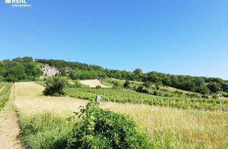 Garagen kaufen in 2352 Gumpoldskirchen, 2352 Gumpoldskirchen, Wunderschönes Grundstück (4.949,00 m²) im Naturschutzgebiet mit Wohlfühl-Häuschen
