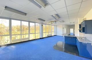 Büro zu mieten in Hellbrunner Straße, 5020 Salzburg, Zentral gelegenes Büro in Nonntal