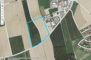 Grundstück zu kaufen in 4493 Wolfern, Grundstück mit B Widmung Alle Gewerbe möglich bis zu 50.000 m2 möglich
