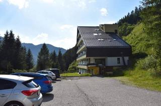 Wohnung kaufen in 9861 Eisentratten, Wohnen - Vermieten - Relaxen - Innerkrems