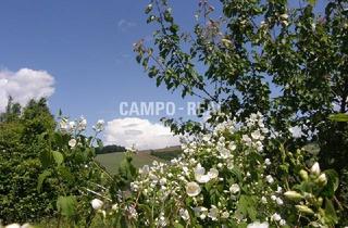 Agrarfläche kaufen in 3034 Maria-Anzbach, LANDWIRTSCHAFT: die Idylle am Stadtrand, alter Bauernhof mit Wohn- und Wirtschaftsgebäuden, Grill-Platzl und eigener Keller mit ca. 2.800 m2 Grund