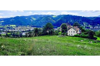 Grundstück zu kaufen in 8650 Kindberg, 3 ha Baugrund in Sonnenlage mit Blick auf Kindberg