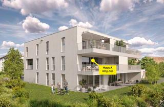 Wohnung kaufen in 6923 Hard, Grosszügige 3-Zimmer-Terrassenwohnung | A04