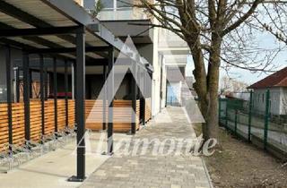 Wohnung kaufen in 3470 Kirchberg am Wagram, Komfortable Lage - Wohnungen mit Terrassen und Tiefgarage