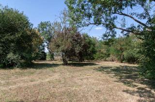 Grundstück zu kaufen in 2425 Nickelsdorf, Großes Baugrundstück in Nickelsdorf