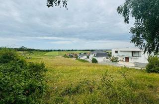 Grundstück zu kaufen in 2443 Leithaprodersdorf, Tolles Grundstück mit Aussicht bis nach Wien!