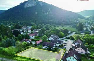 Grundstück zu kaufen in 2831 Warth, Traumhaftes Baugrundstück für Ihr Eigenheim in Gleißenfeld!