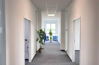 Büro zu mieten in 3494 Gedersdorf, Neue Büroräume In Gedersdorf bei Krems zu mieten