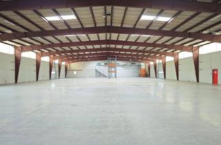 Lager mieten in 2301 Groß-Enzersdorf, 1.800m² Halle mit Rampen und ebenerdiger Einfahrt | beheizt | 250m² Büro & optionale Freiflächen