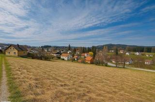 Grundstück zu kaufen in 3972 Bad Großpertholz, Weitläufiges Grundstück in Bad Großpertholz – Traumlage inmitten der Natur mit Fernblick
