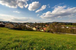 Grundstück zu kaufen in 3972 Bad Großpertholz, Weitläufiges Grundstück in Bad Großpertholz – Traumlage inmitten der Natur mit Fernblick