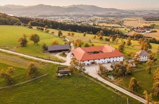 Bauernhäuser zu kaufen in 4816 Gschwandt, FÜR PFERDE-LIEBHABER! Traditioneller Vierkanthof mit 6 Boxen