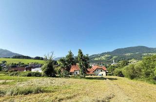 Grundstück zu kaufen in 3270 Scheibbs, Großes Grundstück in bester Aussichtslage in Scheibbs!! PROVISIONSFREI!