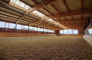 Gewerbeimmobilie kaufen in 8323 Lambach, Reitanlage für Hobby und Beruf mit Sportanlagenwidmung.