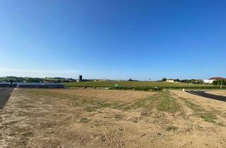 Grundstück zu kaufen in 4611 Buchkirchen, Betriebsbaugrund Widmung MB in Buchkirchen