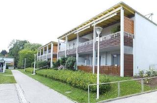 Genossenschaftswohnung in Hubertusstraße 26C /10, 8042 Graz, PROVISIONSFREI - Schöne 2-Zimmer-Wohnung - geförderte Miete - 2 Zimmer