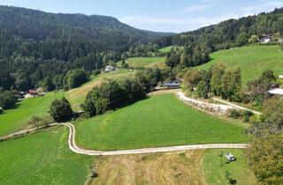 Grundstück zu kaufen in 9562 Tiffnerwinkl, Südhang mit sensationeller Aus- und Fernsicht nahe Feldkirchen