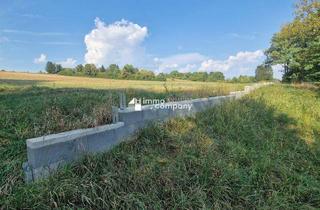 Grundstück zu kaufen in 7443 Liebing, Großzügiges Mischgrundstück in Liebing – 4134m² für nur 150.000 €! Ideal für Ihre Pläne!