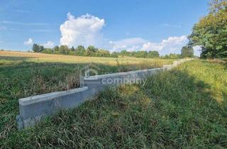 Grundstück zu kaufen in 7443 Liebing, Großer Grund - Bauland Misch + GHg – 4134m² um nur 150.000 €! Gewerbe + Wohnen + Garten