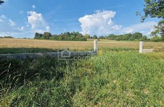 Grundstück zu kaufen in 7443 Liebing, Preisreduktion! Großer Grund - Bauland Misch + GHg – 4134m² Gewerbe + Wohnen + Garten