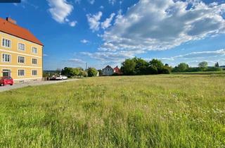 Grundstück zu kaufen in 3813 Neu-Dietmanns, Traumhaftes Grundstück BW mit 1.961 m² in idyllischer Lage in Dietmanns bei Groß Siegharts