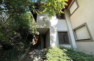 Wohnung mieten in Sandgasse, 8160 Weiz, Charmante 1,5-Zimmer-Wohnung in Traumvilla in Weiz - AB SOFORT verfügbar