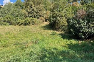 Grundstück zu kaufen in 8224 Hartl, Grundstück in Hofkirchen bei Hartberg - 1000m² Baugrund + 1000m² LW