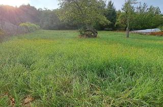 Grundstück zu kaufen in 3105 Unterradlberg, Aufgeschlossen und kein Bauzwang-Ein guter Grund weiterzulesen....