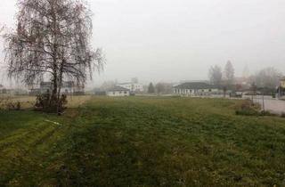 Grundstück zu kaufen in 3931 Schweiggers, Baugrundstücke Schweiggers