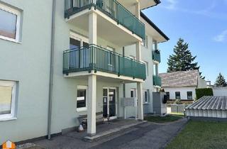 Genossenschaftswohnung in 2821 Lanzenkirchen, Lanzenkirchen, 2 Zimmer Wohnung, betreubares Wohnen