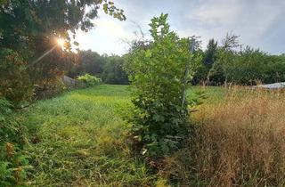 Grundstück zu kaufen in 3105 Unterradlberg, Aufgeschlossen und kein Bauzwang-Ein guter Grund weiterzulesen....