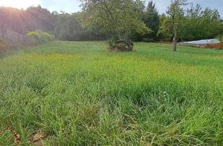 Grundstück zu kaufen in 3105 Unterradlberg, Aufgeschlossen und kein Bauzwang-Ein guter Grund weiterzulesen....