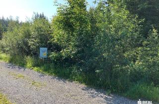 Grundstück zu kaufen in Fohren, 6863 Egg, Nimm doch mal eine Auszeit: Grundstück mit Ferienwidmung