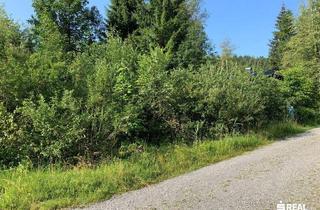 Grundstück zu kaufen in Fohren, 6863 Egg, Grundstück mit Ferienwidmung in der Natur