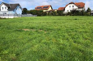 Grundstück zu kaufen in 4209 Engerwitzdorf, Baugrundstück in sonniger Lage