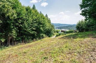 Grundstück zu kaufen in Sackstraße, 8046 Graz, Erhöht gelegenes 911 m² Baugrundstück samt 5.000 m² Eigenwald in Stattegg