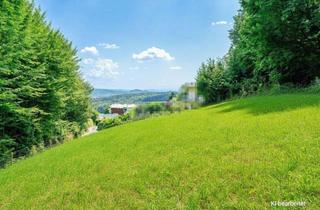 Grundstück zu kaufen in Sackstraße, 8046 Graz, Erhöht gelegenes 911 m² Baugrundstück samt 5.000 m² Eigenwald in Stattegg