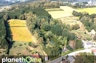Haus kaufen in 7551 Stegersbach, 2,3 Hektar unberührte Naturidylle mit eigenem See!