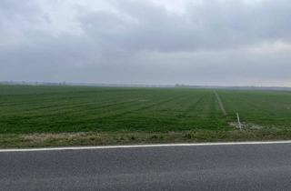 Gewerbeimmobilie kaufen in 2305 Kopfstetten, Acker in bester Lage!