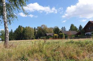 Grundstück zu kaufen in Reingers, 3863 Reingers, Reingers -Türkenbühel