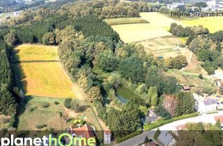 Haus kaufen in 7551 Stegersbach, Direkte Thermennähe in Stegersbach - Traumobjekt mit Altbestand, Fischteich und Wald