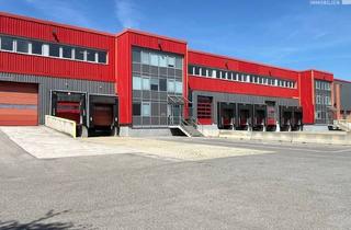 Lager mieten in 1300 Schwechat - Flughafen, Logistikobjekt direkt am Flughafen Wien